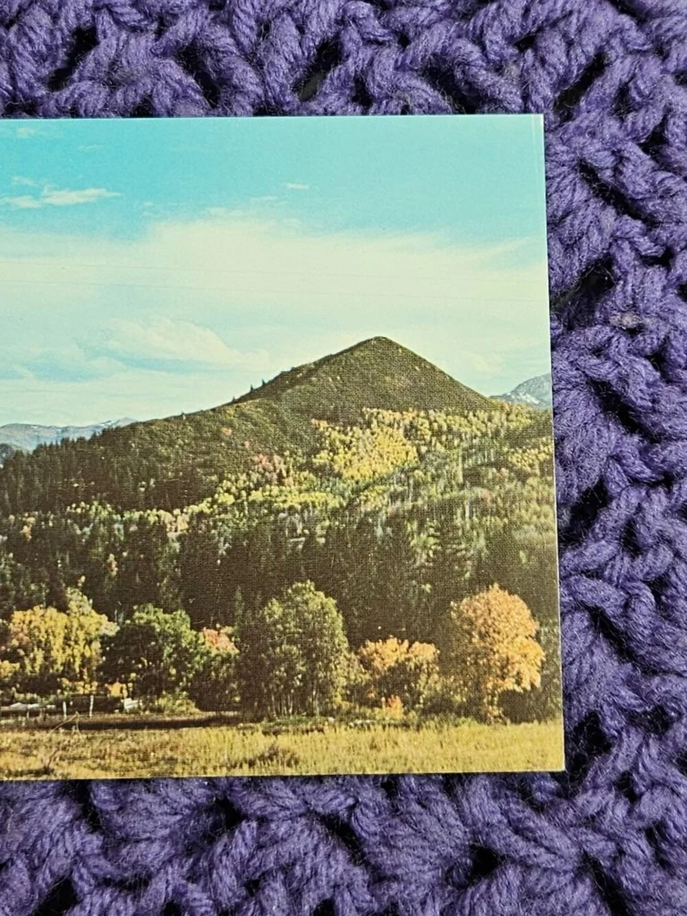 Color from the Alps of America No. 5 Postcard